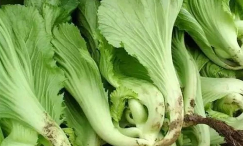 Video: Thường xuyên ngủ không đủ giấc nên bổ sung thứ này