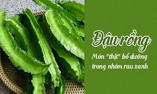 Video: Đậu rồng - Bảo bối ngừa ung thư, mỡ máu