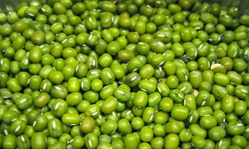 Video: Đậu xanh - thực phẩm “vàng” cho sức khỏe