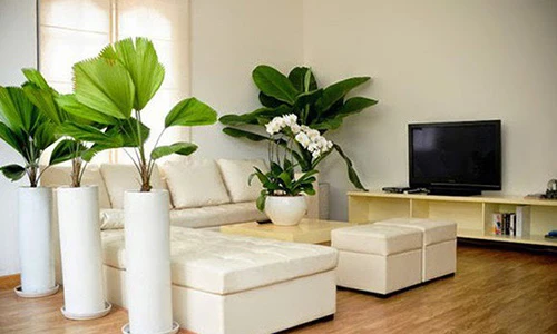 Video: 6 cách bài trí nhà ở hợp phong thủy, Thần tài thường xuyên ghé thăm