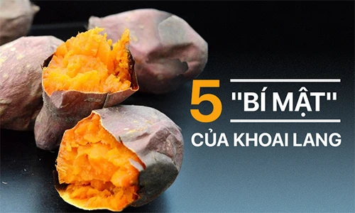 Video: 5 lời khuyên quan trọng trước khi ăn khoai lang