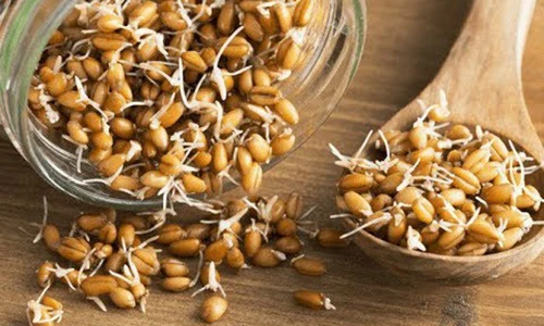 Video: 4 loại thực phẩm tốt ngang “vàng 10” nếu mọc mầm