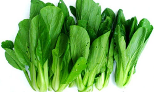 Video: Người không nên ăn rau cải kẻo rước bệnh vào cơ thể