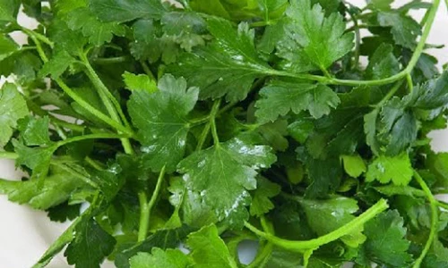 Video: Rau mùi tây, thần dược chữa bách bệnh trong nhà bếp