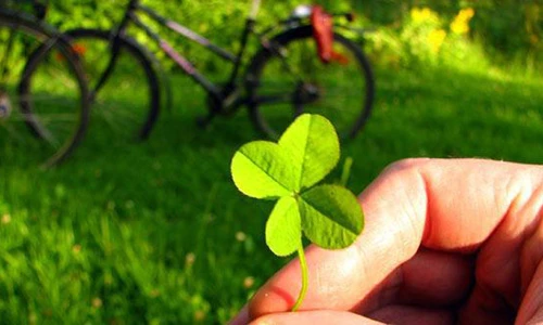 Video: 15 điều giúp bạn hưởng trọn niềm vui cuộc sống