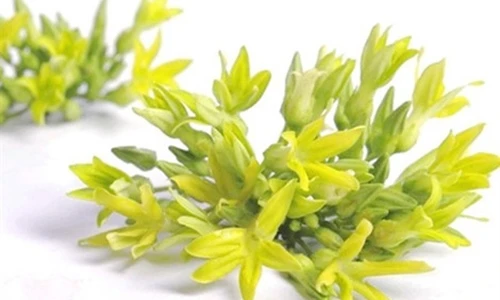 Video: Dứt hẳn bệnh viêm xương khớp nhờ món ăn cực đơn giản sau