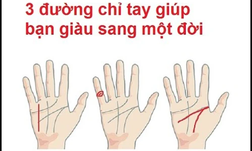 Video: 3 đường chỉ tay dự báo bạn giàu sang 1 đời