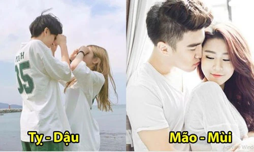 Video: 9 cặp con giáp khi đến với nhau sẽ hạnh phúc suốt đời