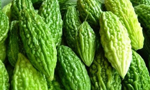 Video: Tác dụng chữa bách bệnh đáng kinh ngạc của mướp đắng