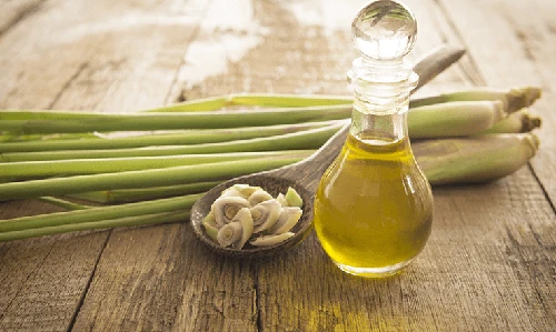 Video: Những điều kỳ diệu mà tinh dầu sả mang lại