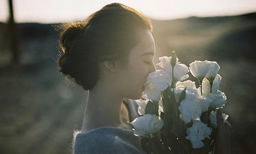 Video: Giải mã vì sao giữa vạn người ta lại gặp và yêu nhau