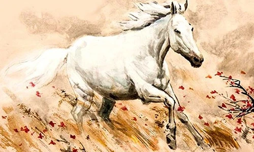 Video: Người tuổi Ngọ trồng cây này sự nghiệp không ngừng thăng tiến