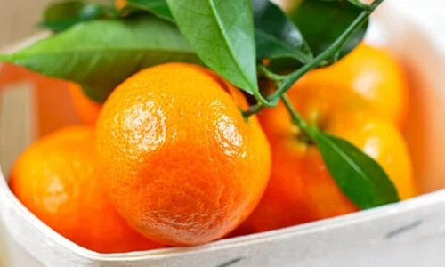 Video: Lợi ích của quả quýt với rất nhiều công dụng tốt cho sức khoẻ