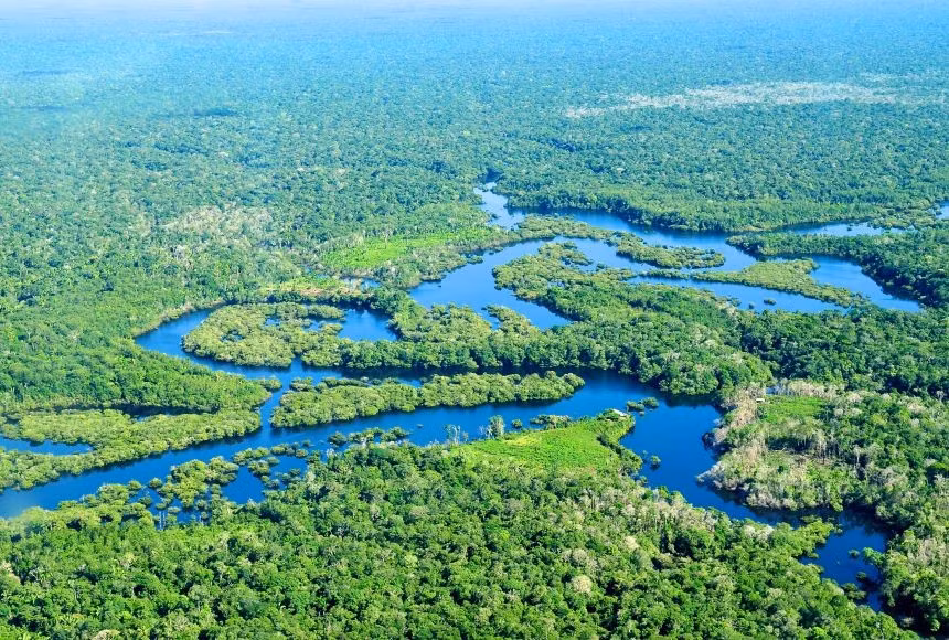 Báo cáo rừng toàn cầu của Viện Tài nguyên Thế giới ước tính rừng Amazon ở Brazil đã mất 28.000 km2 chỉ trong năm 2024. Ảnh: Neil Palmer/CIAT for Center for International Forestry (CIFOR).