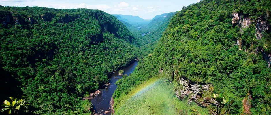 Sử dụng một mô hình máy tính, nhóm nghiên cứu kiểm tra rừng Amazon sẽ phản ứng như thế nào trước tác động kết hợp của biến đổi khí hậu và nạn chặt phá rừng. Họ sử dụng "mô hình cột đơn", trong trường hợp này chỉ mô phỏng địa điểm ở lưu vực Amazon đại diện cho toàn bộ khu vực mà sông Amazon và các phụ lưu của nó chảy vào. Ảnh: Getty Images.