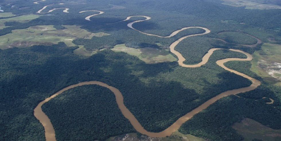 Trong thế kỷ qua, các khu rừng mưa nhiệt đới như Amazon ngày càng dễ bị tổn thương trước các sự kiện như hạn hán, cháy rừng, biến đổi khí hậu gần đây và nạn chặt phá rừng lan rộng. Ảnh: Erik Sampers/Getty Images.