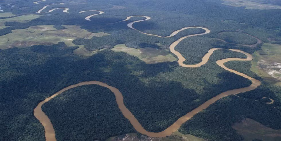 Trong thế kỷ qua, các khu rừng mưa nhiệt đới như Amazon ngày càng dễ bị tổn thương trước các sự kiện như hạn hán, cháy rừng, biến đổi khí hậu gần đây và nạn chặt phá rừng lan rộng. Ảnh: Erik Sampers/Getty Images.