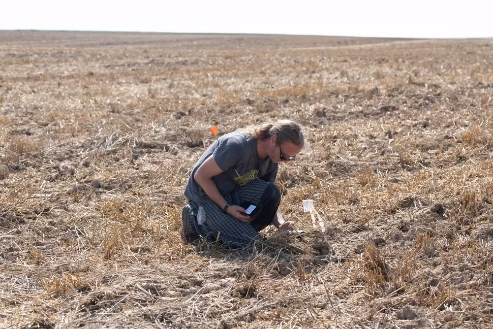 Kho báu quý giá trên được phát hiện trong quá trình khai quật một địa điểm chưa được tiết lộ ở vùng Pilsen, phía Tây Cộng hòa Czech trong 5 năm qua. Ảnh: Museum and Gallery of Northern Pilsen.