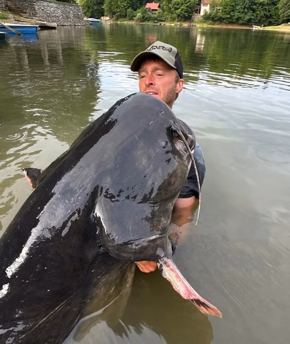 Ông Jakub chia sẻ con cá trê không chỉ có chiều dài khủng mà còn rất đồ sộ về chiều cao và bề ngang. Đó là một con cá đẹp, gần như hoàn hảo, có thể còn phát triển lớn hơn. Ảnh: Newsflash.