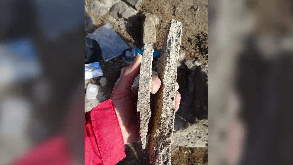 Cụ thể, nhóm nghiên cứu cho biết người dân La Mã ở Pompeii có thể không mấy dễ chịu khi sử dụng nhà tắm công cộng thời kỳ đầu để vệ sinh cơ thể bằng nước bẩn, bị nhiễm chì và chỉ thay nước một lần mỗi ngày. Ảnh: Cees Passchier.