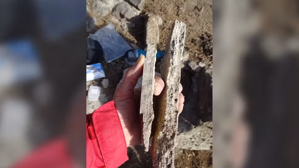 Cụ thể, nhóm nghiên cứu cho biết người dân La Mã ở Pompeii có thể không mấy dễ chịu khi sử dụng nhà tắm công cộng thời kỳ đầu để vệ sinh cơ thể bằng nước bẩn, bị nhiễm chì và chỉ thay nước một lần mỗi ngày. Ảnh: Cees Passchier.