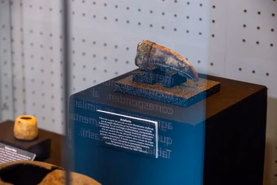 Áspero là một khu định cư thời cổ đại gắn liền với nền văn minh Caral - nền văn hóa lâu đời nhất ở châu Mỹ. Cuộc khai quật này được thực hiện bởi Tiến sĩ Ruth Shady Solís và nhóm của bà từ Khu khảo cổ Caral (ZAC). Cuộc khai quật được Bộ Văn hóa Peru tài trợ. Ảnh: Ministry of Culture of Peru.