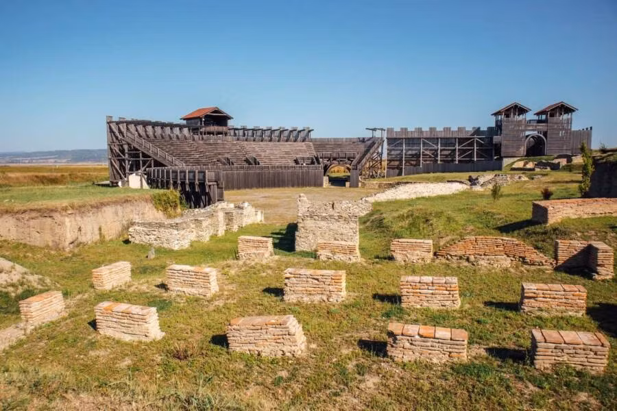 Phát hiện mới đây cho thấy những vết thương trên con gấu cho thấy con vật to lớn này từng bị giam cầm, ngược đãi và cuối cùng chết trong cuộc chiến đấu đẫm máu trên đấu trường La Mã. Ảnh: Ivan Radic/Flickr Creative Commons.
