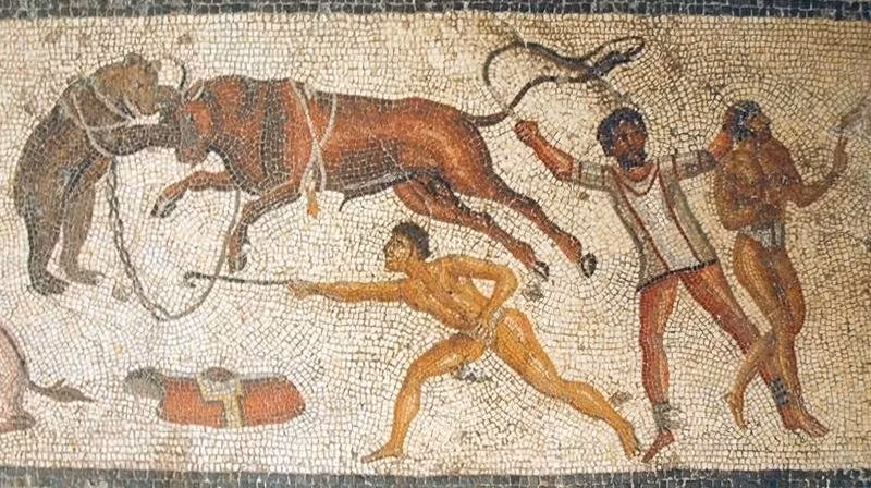 Giới nghiên cứu cho hay con gấu nâu này đã có kết cục bi thảm trong cuộc chiến với võ sĩ giác đấu. Ảnh: Auteur inconnu.