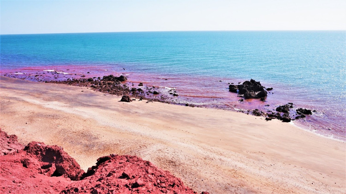View - Hòn đảo có bãi biển màu đỏ rực sau mưa đặc biệt thế nào? | Báo Tri thức và Cuộc sống - TIN TỨC PHỔ BIẾN KIẾN THỨC 24H