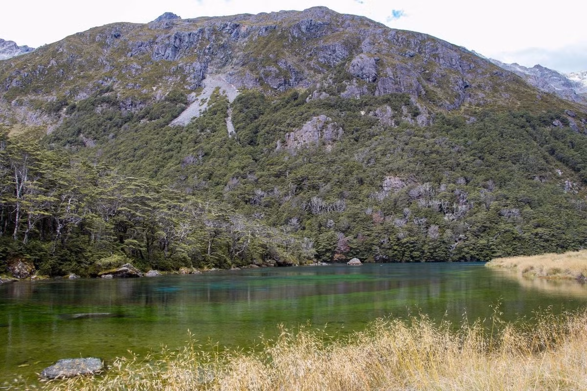 Người Māori địa phương còn gọi hồ Rotomairewhenua với cái tên Hồ Xanh (Blue Lake) bởi hồ có màu xanh lam rực rỡ. Ảnh: JR on Tour.