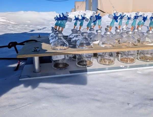 Nghiên cứu cho thấy khả năng sống sót của các vi sinh vật nhờ hấp thụ các khí trong khí quyển, bao gồm hydro và carbon monoxide, có khả năng diễn ra quanh năm tại khu vực Đông Nam Cực và được dự báo sẽ gia tăng khi khí hậu trên Trái đất ấm lên. Ảnh: Ry Holland.