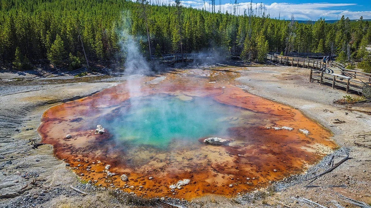 Theo Cơ quan Khảo sát Địa chất Mỹ (USGS), thành phần hóa học đặc biệt mang lại cho Echinus kết cấu và màu sắc thú vị. Màu đỏ, cam, vàng của mạch nước phun này đến từ lượng lớn sắt, nhôm và asen tích tụ xung quanh phần rìa lởm chởm. Ảnh: Leo Kohout/Shutterstock.com.