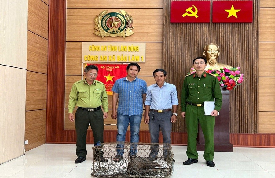 Công an tỉnh Lâm Đồng cho biết, Công an xã Bảo Lâm 1 đã tiếp nhận một cá thể tê tê quý, hiếm do anh Đoàn Hồng Hải (sinh năm 1976, trú thôn 5 Lộc Quảng, xã Bảo Lâm 1) mang đến giao nộp cho lực lượng chức năng. Ảnh: Công an xã Bảo Lâm 1.