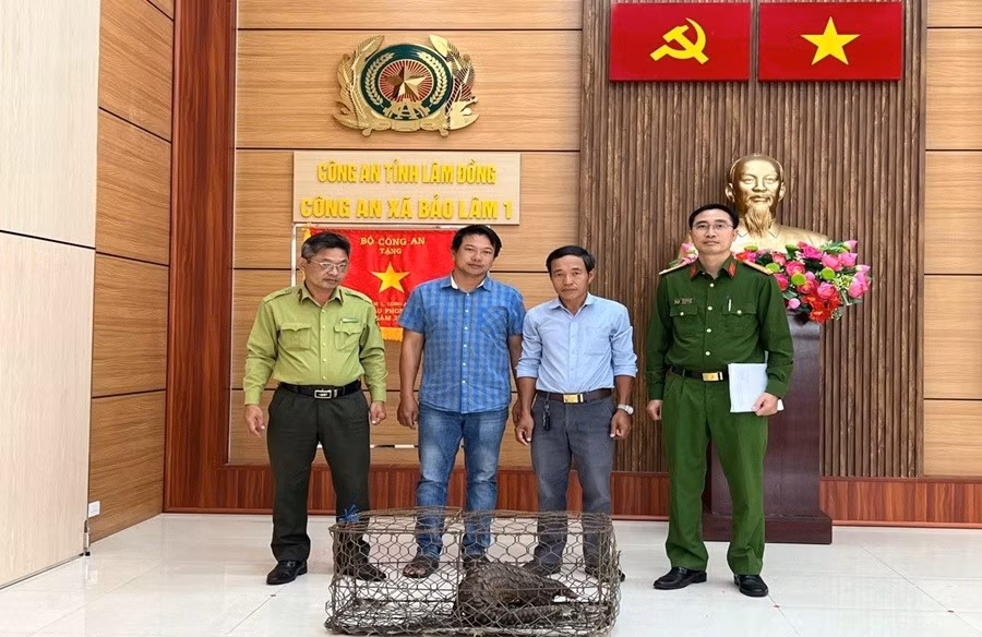 Công an tỉnh Lâm Đồng cho biết, Công an xã Bảo Lâm 1 đã tiếp nhận một cá thể tê tê quý, hiếm do anh Đoàn Hồng Hải (sinh năm 1976, trú thôn 5 Lộc Quảng, xã Bảo Lâm 1) mang đến giao nộp cho lực lượng chức năng. Ảnh: Công an xã Bảo Lâm 1.