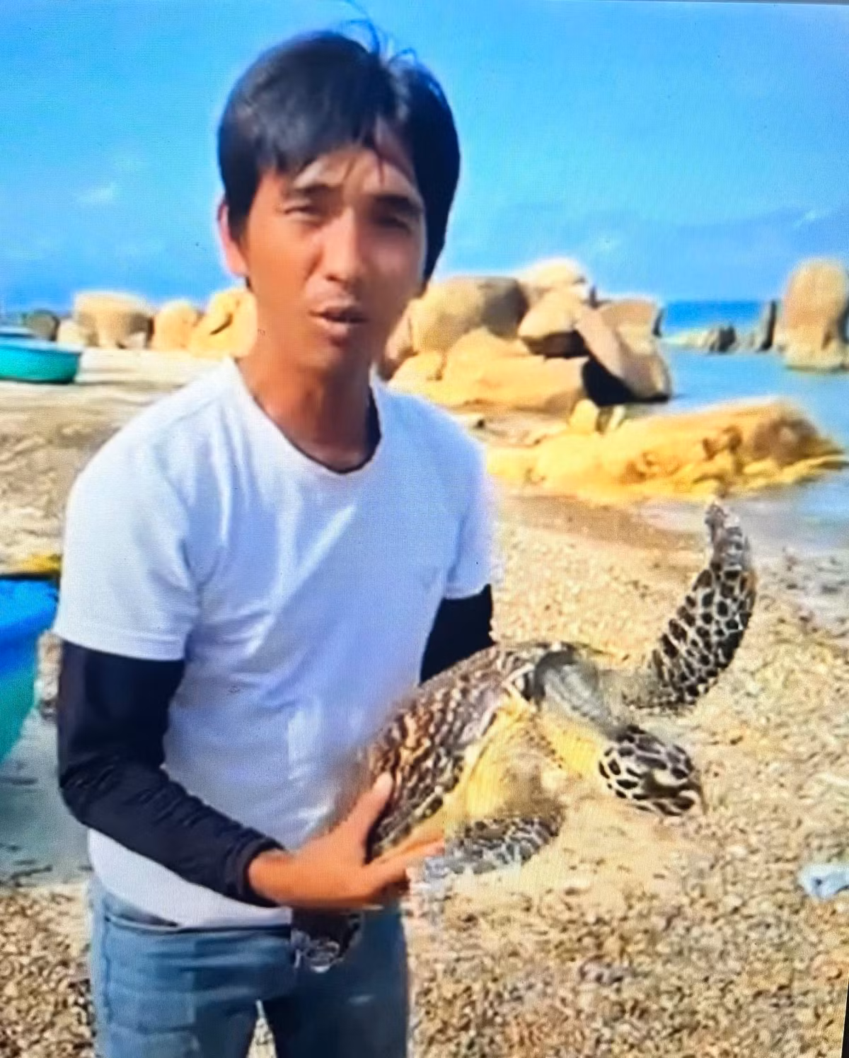 Vào tháng 4/2025, ngư dân Nguyễn Chí Trọng (ở xã Bình Thạnh, huyện Tuy Phong, tỉnh Bình Thuận) phát hiện một cá thể Vích trong lúc đánh bắt hải sản, kéo lưới nặng khoảng 3 - 4 kg. Sau đó, anh đã thả con rùa biển quý hiếm này về môi trường tự nhiên. Ảnh: baolamdong.