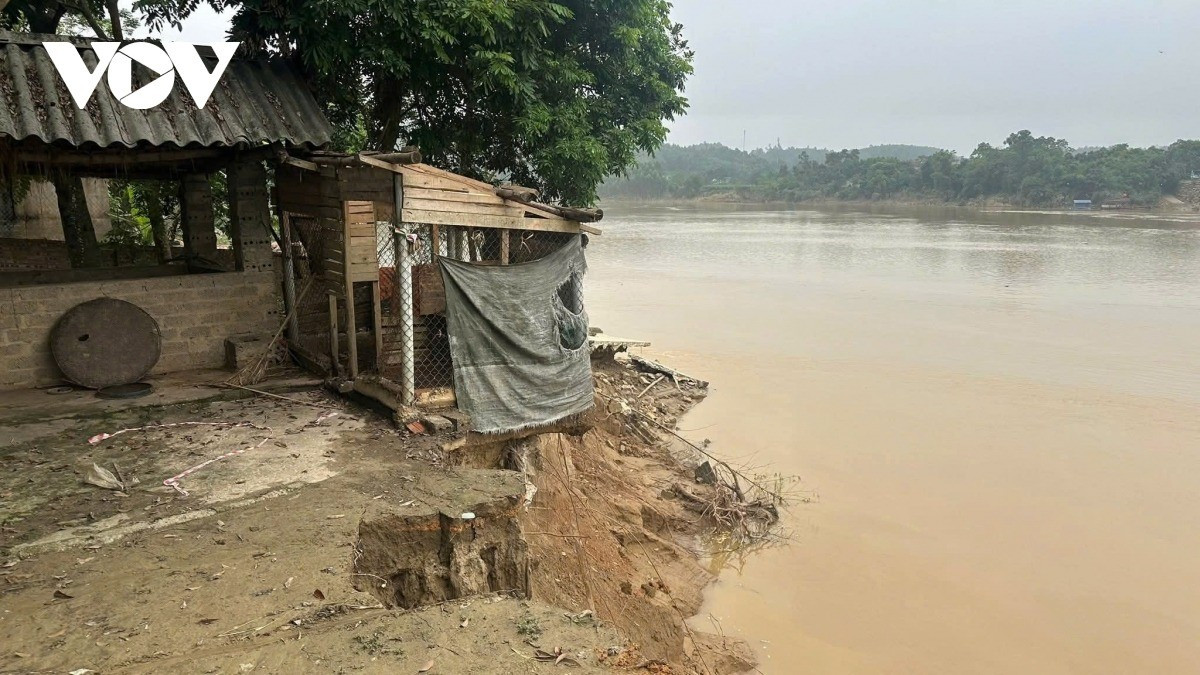 Chủ tịch UBND tỉnh Phú Thọ giao các ngành chức năng xây dựng dự án kè chống sạt lở bờ sông Lô theo hình thức khẩn cấp, ưu tiên những đoạn xung yếu gần khu dân cư và tuyến đê. Bên cạnh đó, tỉnh sẽ xem xét hỗ trợ kinh phí di dời các hộ dân trong vùng nguy hiểm, đảm bảo an toàn tính mạng và tài sản cho người dân.