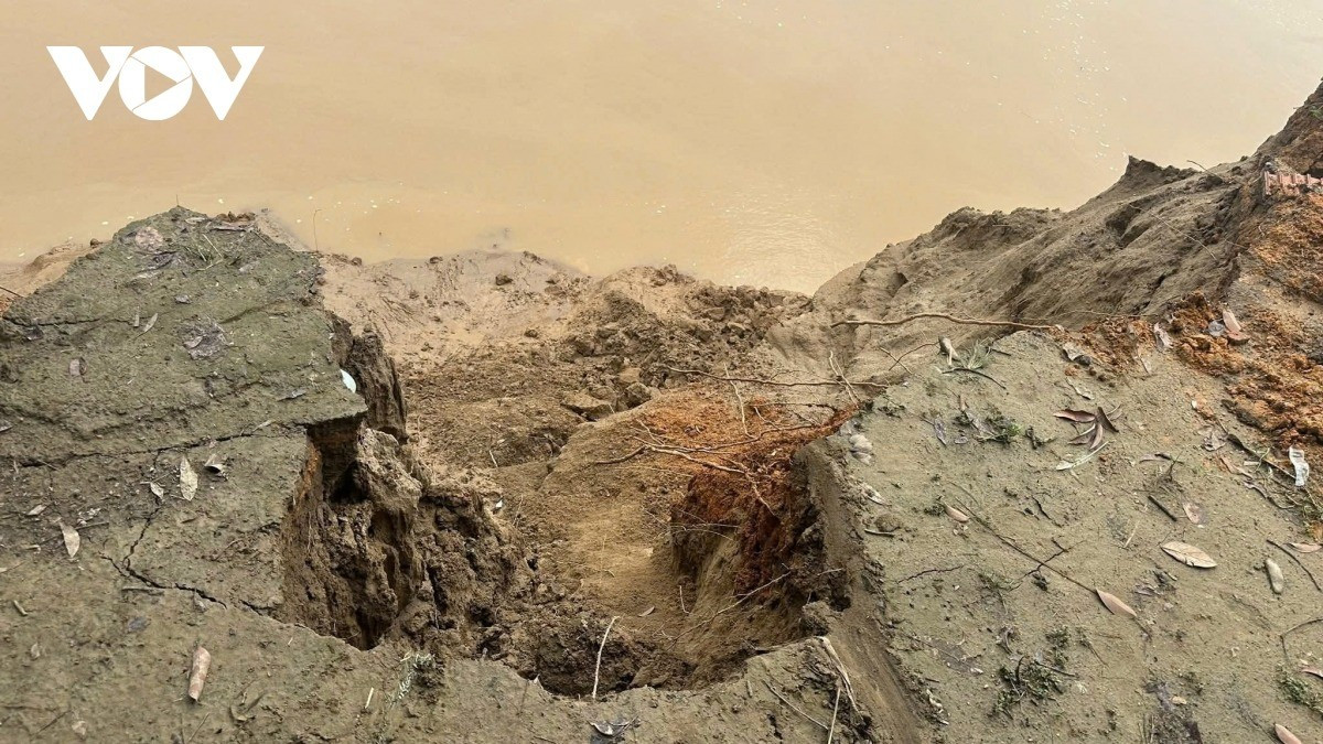 Không chỉ riêng Dân Chủ, xã Phú Mỹ cũng đang đối mặt với tình trạng tương tự. Hiện trên địa bàn đã ghi nhận bốn điểm sạt lở lớn nhỏ, trong đó nặng nhất là đoạn từ Km32+550 đến Km30+800 dọc tuyến đê tỉnh lộ 323. Đoạn này dài khoảng 100m, ăn sâu vào chân đê gần 8m, đe dọa nghiêm trọng đến an toàn tuyến đê điều và đời sống của người dân hai bên bờ.