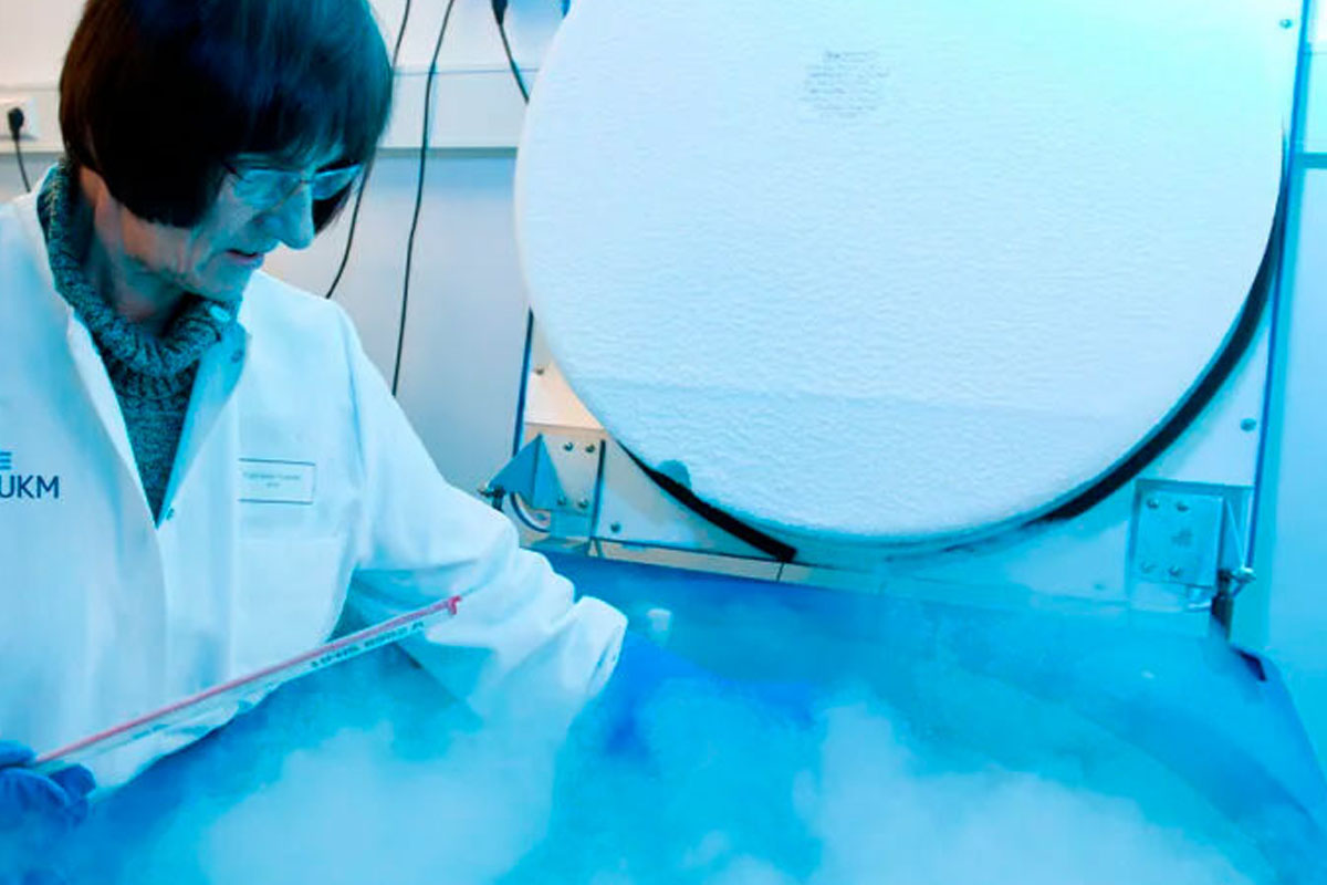 Tiếp đến, nhóm nghiên cứu đã áp dụng quy trình này cho toàn bộ não chuột và lưu trữ ở nhiệt độ -140 độ C trong tối đa 8 ngày. Sau khi rã đông, việc kiểm tra các lát cắt não giúp các chuyên gia xác nhận các đường truyền thần kinh liên quan đến trí nhớ vẫn sống sót và hoạt động. Ảnh: derechadiario.com.ar.