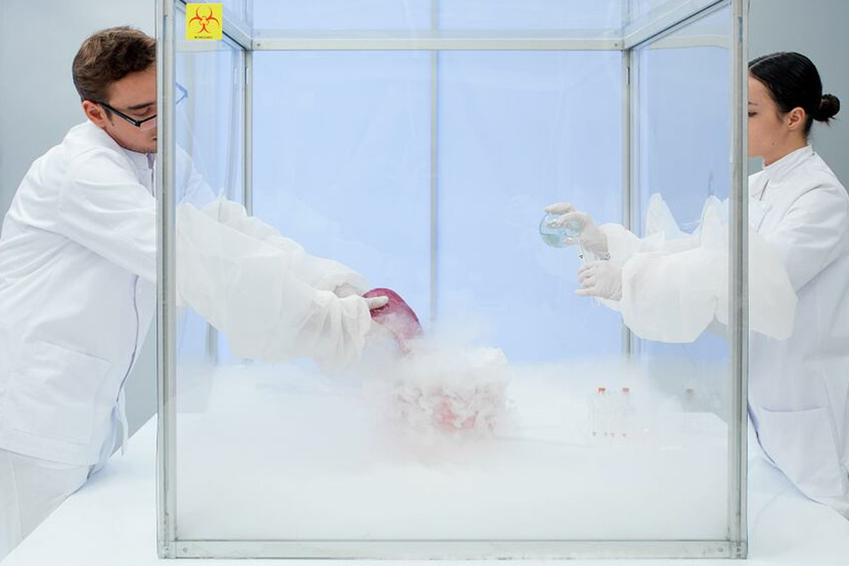 Nhóm nghiên cứu đang mở rộng thử nghiệm từ não chuột sang mô não người và bước đầu ghi nhận những dữ liệu khả năng sống sót khả quan. Họ cũng đang khám phá cách ứng dụng kỹ thuật thủy tinh hóa để bảo quản lạnh toàn bộ các cơ quan nội tạng lớn nhằm phục vụ cấy ghép, đặc biệt là trái tim. Ảnh: derechadiario.com.ar.