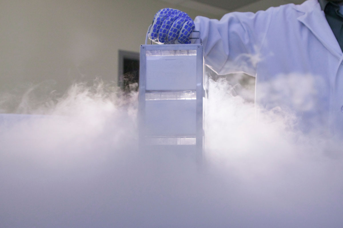 Đặc biệt, các tín hiệu điện thần kinh gần như trở lại bình thường và các con đường kết nối thần kinh ở vùng hồi hải mã vẫn duy trì được khả năng tăng cường kết nối dài hạn - nền tảng sinh học của quá trình học tập và ghi nhớ. Ảnh: derechadiario.com.ar.