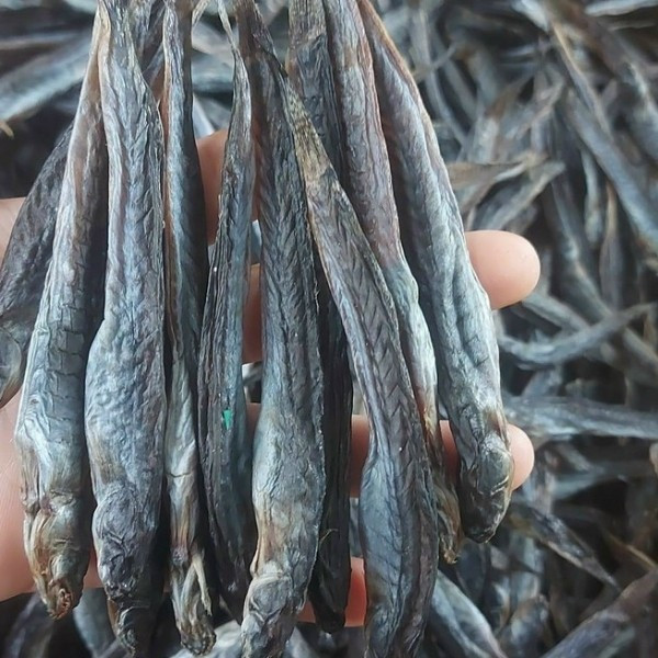 Việc nuôi cá kèo đang phát triển mạnh tại các tỉnh Nam Bộ nhờ điều kiện môi trường thuận lợi và nhu cầu tiêu thụ ổn định. Nhiều hộ dân đã chuyển đổi mô hình sản xuất để tập trung vào nuôi cá kèo thương phẩm, mang lại nguồn thu nhập bền vững.