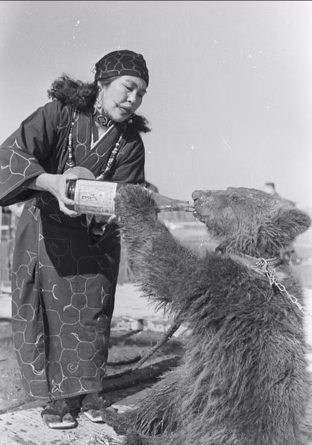 Nghi lễ sẽ bắt đầu khi con gấu được mang ra và đặt giữa bàn thờ với “cửa thần”.