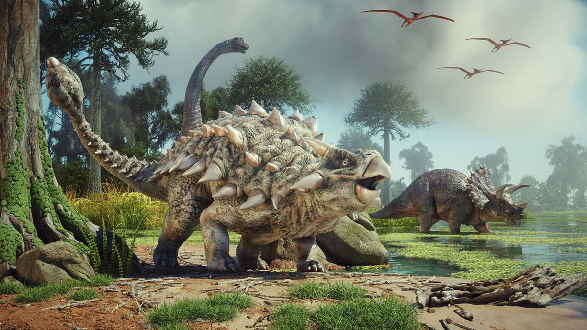 Do khủng long đầu to có thể đã sử dụng vòm xương để thu hút bạn tình nên loài khủng long Zavacephalae rinpoche đã đạt đến độ tuổi trưởng thành về mặt sinh dục trước khi trưởng thành hoàn toàn. Ảnh: snexplores.