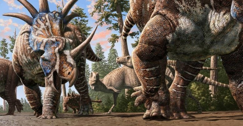 Vòm xương của khủng long Zavacephalae rinpoche đã phát triển hoàn chỉnh nhưng các vòng tăng trưởng ở xương cẳng chân cho thấy nó vẫn còn nhỏ và đang phát triển vào thời điểm tử vong. Ảnh: Julius Csotonyi.