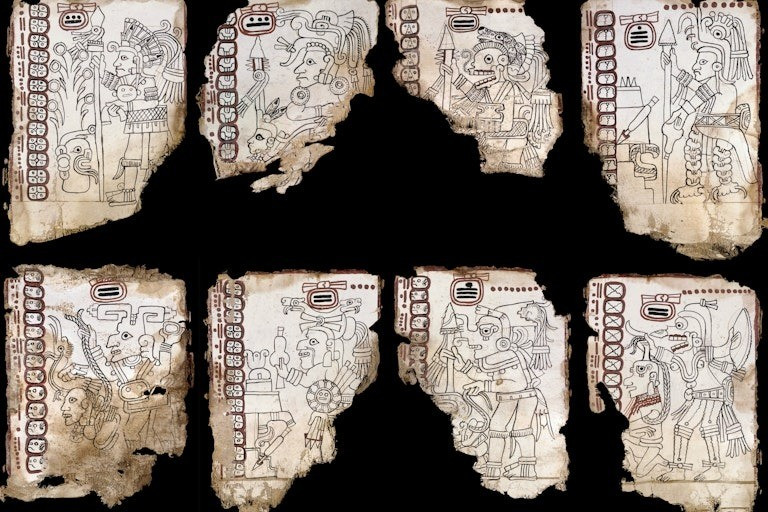 Bản thảo Grolier được biết đến lần đầu tiên vào những năm 1970. Ban đầu, cuốn sách cổ của người Maya này rơi vào tay những kẻ cướp bóc. Về sau, chúng đã bán bản thảo Grolier cho một nhà sưu tập tư nhân tên là Josué Sáenz. Ảnh: Enrico Ferorelli.