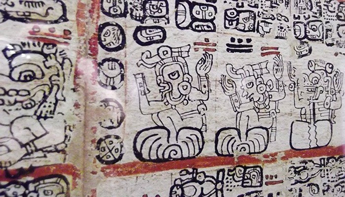 Khi đến nơi, ông Sáenz gặp một nhóm cướp và họ đã đưa cho bản thảo Grolier cùng với một vài hiện vật khác. Nhóm cướp nói với ông rằng tất cả những thứ này đều được tìm thấy trong một hang động. Ảnh: INAH.