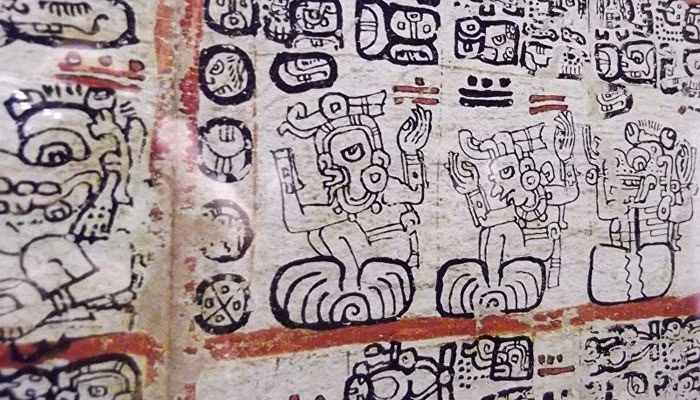 Khi đến nơi, ông Sáenz gặp một nhóm cướp và họ đã đưa cho bản thảo Grolier cùng với một vài hiện vật khác. Nhóm cướp nói với ông rằng tất cả những thứ này đều được tìm thấy trong một hang động. Ảnh: INAH.