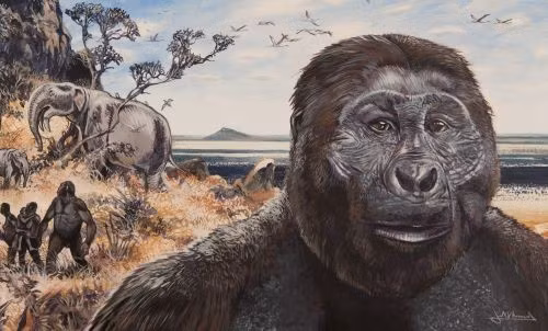 Người Paranthropus boisei từng sinh sống ở Đông Phi cách đây từ 1,3 - 2,6 triệu năm, cùng thời với ít nhất 3 loài người cổ khác: Homo habilis, Homo rudolfensis và Homo erectus. Ảnh: see.leeds.ac.uk.