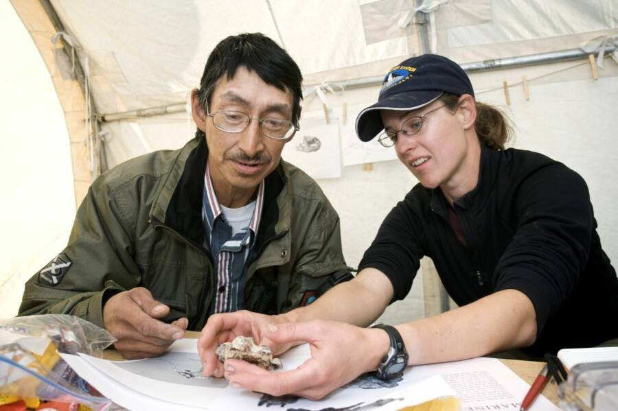 Các nhà nghiên cứu đưa ra giả thuyết rằng, tê giác Bắc Cực đã di chuyển từ châu Âu đến Canada thông qua Cầu đất Bắc Đại Tây Dương. Phát hiện này cho thấy cầu đất tồn tại lâu hơn nhiều so với suy nghĩ trước đây. Phát hiện này cũng khiến nhóm nghiên cứu tự hỏi liệu còn loài động vật Bắc Cực nào khác từ thời tiền sử vẫn chưa được phát hiện hay không. Ảnh: Martin Lipman/Canadian Museum of Nature.