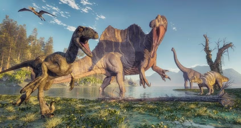 Được khai quật trong một phiến sa thạch màu nâu đỏ có niên đại 160 triệu tuổi, Pulaosaurus qinglong có cơ thể khá bé nhỏ với chiều dài cơ thể chỉ 72,2 cm, hộp sọ dài 8 cm. Ảnh: yourweather.co.uk.